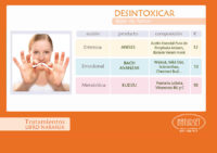 DESINTOXICAR- Tratamiento Natural para dejar de fumar - Libro Naranja de NATURSET